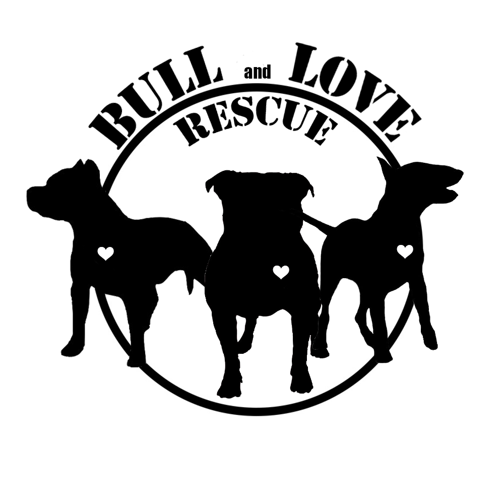 Bull and Love